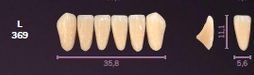 Mondial fortand 6 stk farve A2 L 369