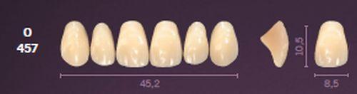 Mondial fortand 6 stk farve A3 O 457