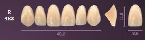 Mondial fortand 6 stk farve A3 R 483