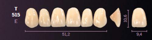 Mondial fortand 6 stk farve A3 T 515
