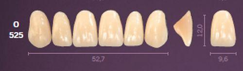 Mondial fortand 6 stk farve A3.5 O 525