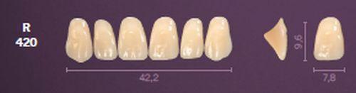 Mondial fortand 6 stk farve A3.5 R 420