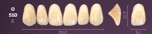 Mondial fortand 6 stk farve B1 O 510*