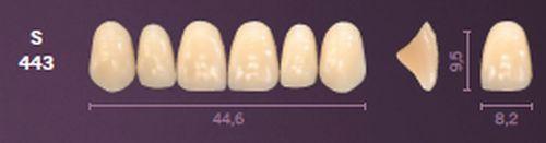Mondial fortand 6 stk farve B1 S 443