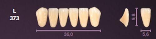 Mondial fortand 6 stk farve B2 L 373