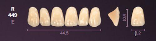 Mondial fortand 6 stk farve B3 R 449