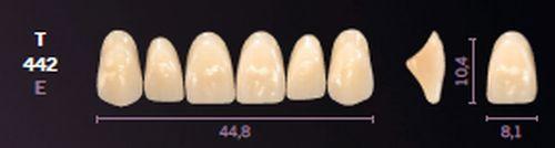 Mondial fortand 6 stk farve B3 T 442