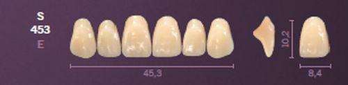 Mondial fortand 6 stk farve C3 S 453