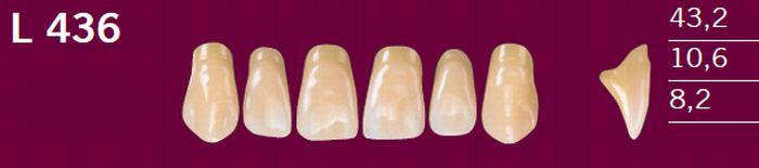 Optodent fortand 6 stk farve 13 436