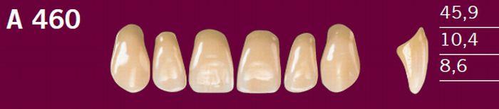 Optodent fortand 6 stk farve 13 460