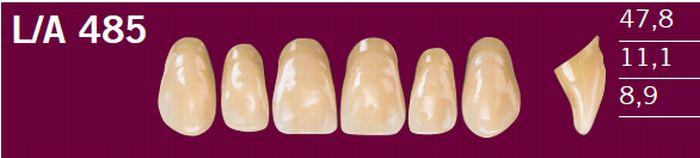 Optodent fortand 6 stk farve 13 485