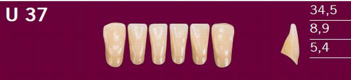 Optodent fortand 6 stk farve 21 U37