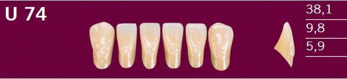 Optodent fortand 6 stk farve 21 U74