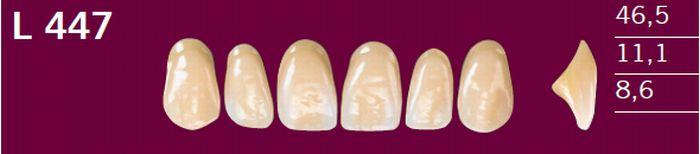 Optodent fortand 6 stk farve 22 447