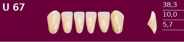 Optodent fortand 6 stk farve 22 U67