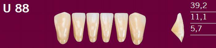 Optodent fortand 6 stk farve 22 U88