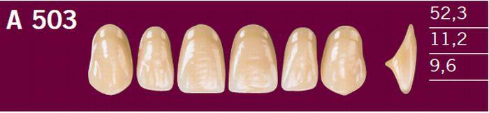 Optodent fortand 6 stk farve 26 503