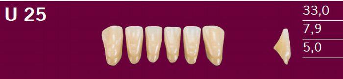 Optodent fortand 6 stk farve 26 U25