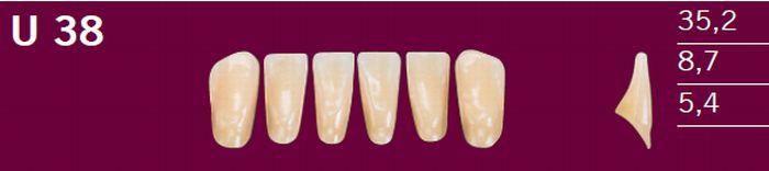 Optodent fortand 6 stk farve 26 U38