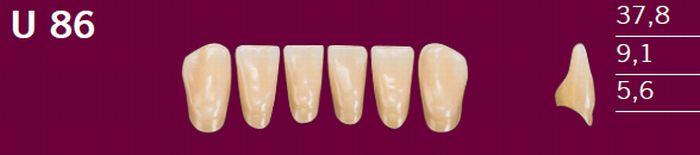 Optodent fortand 6 stk farve 32 U86