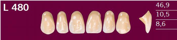 Optodent fortand 6 stk farve 40 480