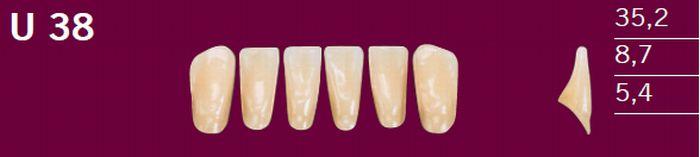 Optodent fortand 6 stk farve 41 U38