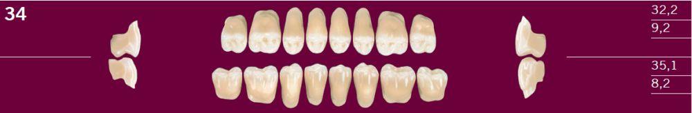 Optognath kindtand 8 stk farve 21 34 O