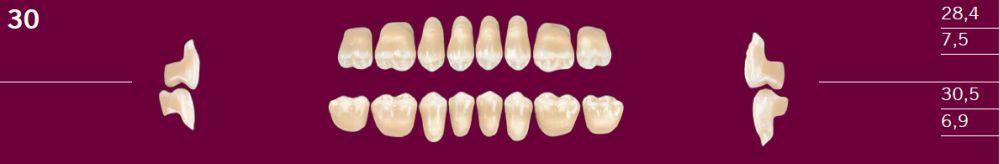 Optognath kindtand 8 stk farve 26 30 U