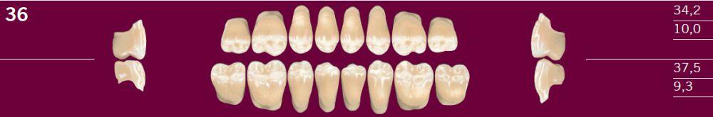 Optognath kindtand 8 stk farve 27 36 O