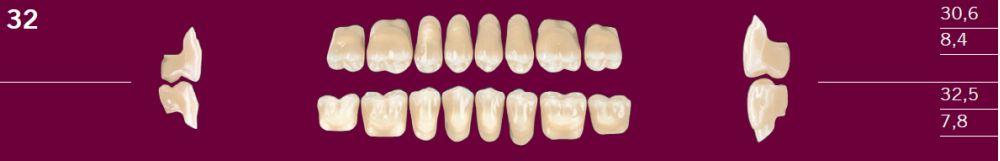 Optognath kindtand 8 stk farve 41 32 U