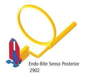 Endo-Bite Senso Posterior med ring*