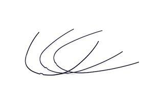 Remanium ideal arch OK 0.45/0.18 mm 10 stk*