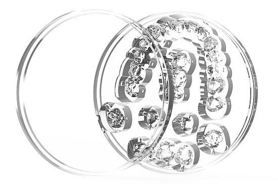 Clear PMMA til skinner 98 x10 mm Transparent*