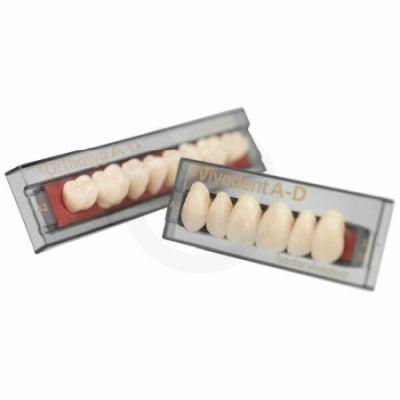 SR Vivodent A-D fortand 6 stk farve B4 U A24*