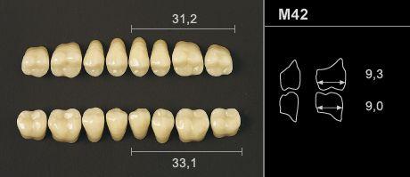 Odilux kindtand 8 stk OK farve 17 M42