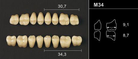 Odilux kindtand 8 stk OK farve 20 M34