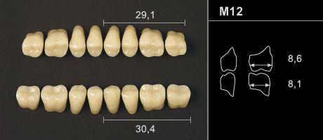 Odilux kindtand 8 stk OK farve 23 M12