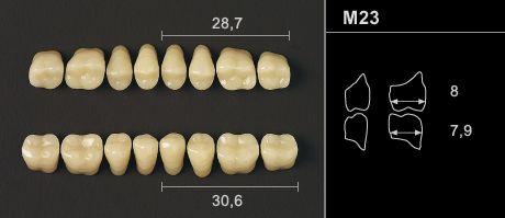 Odilux kindtand 8 stk OK farve 27 M23
