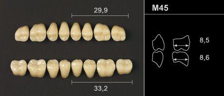 Odilux kindtand 8 stk OK farve 27 M45
