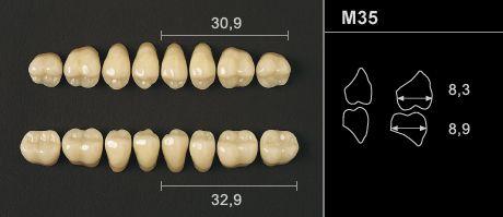 Odilux kindtand 8 stk OK farve 31 M35