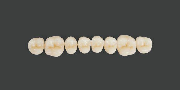 Bonartic II NFC+ kindtand 8 stk farve S3 02-*